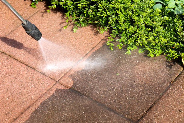 Best Roof Power Washing Services  in Lone Oak, TN